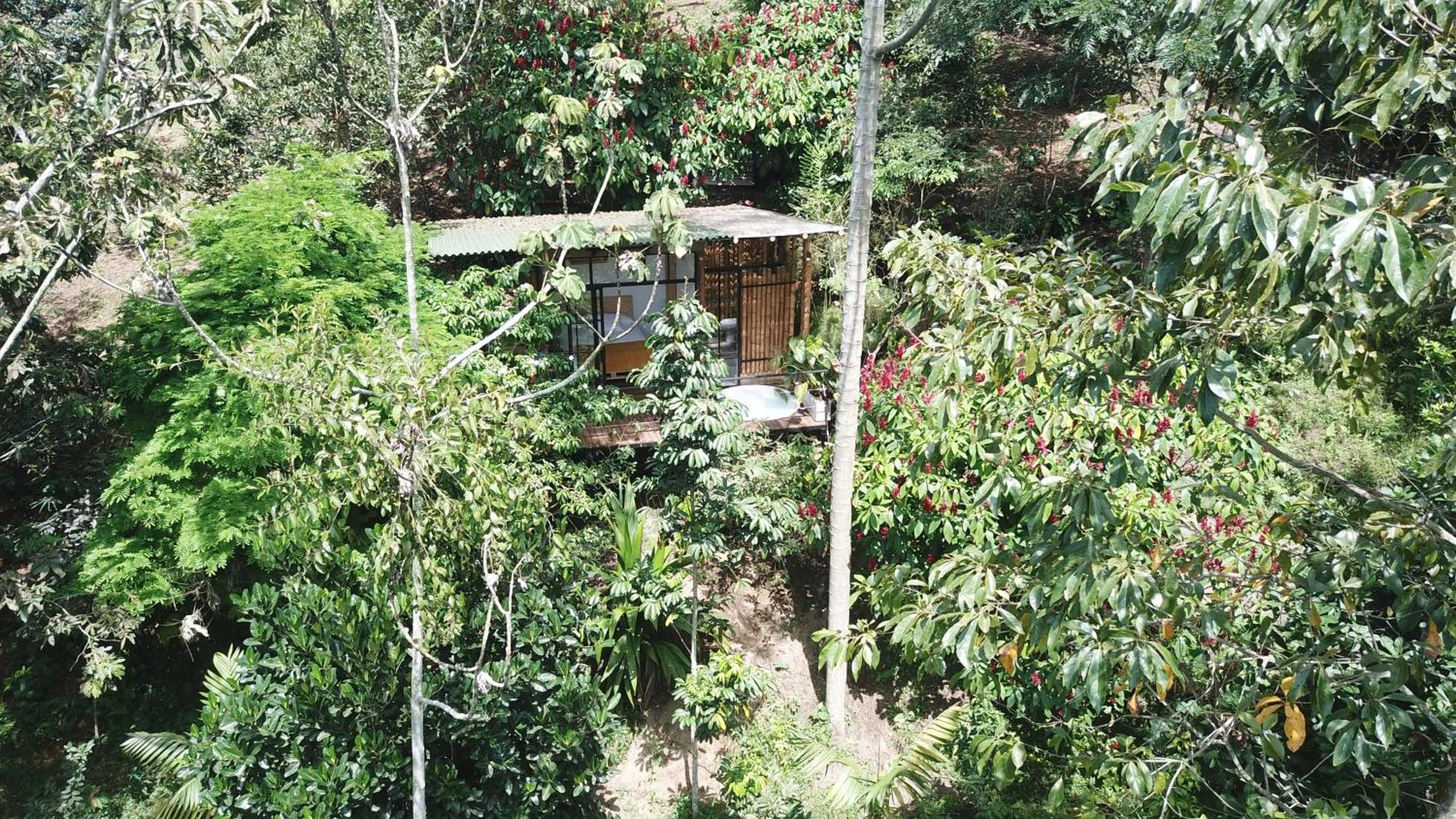 Ecohotel Alma Каларка Екстер'єр фото