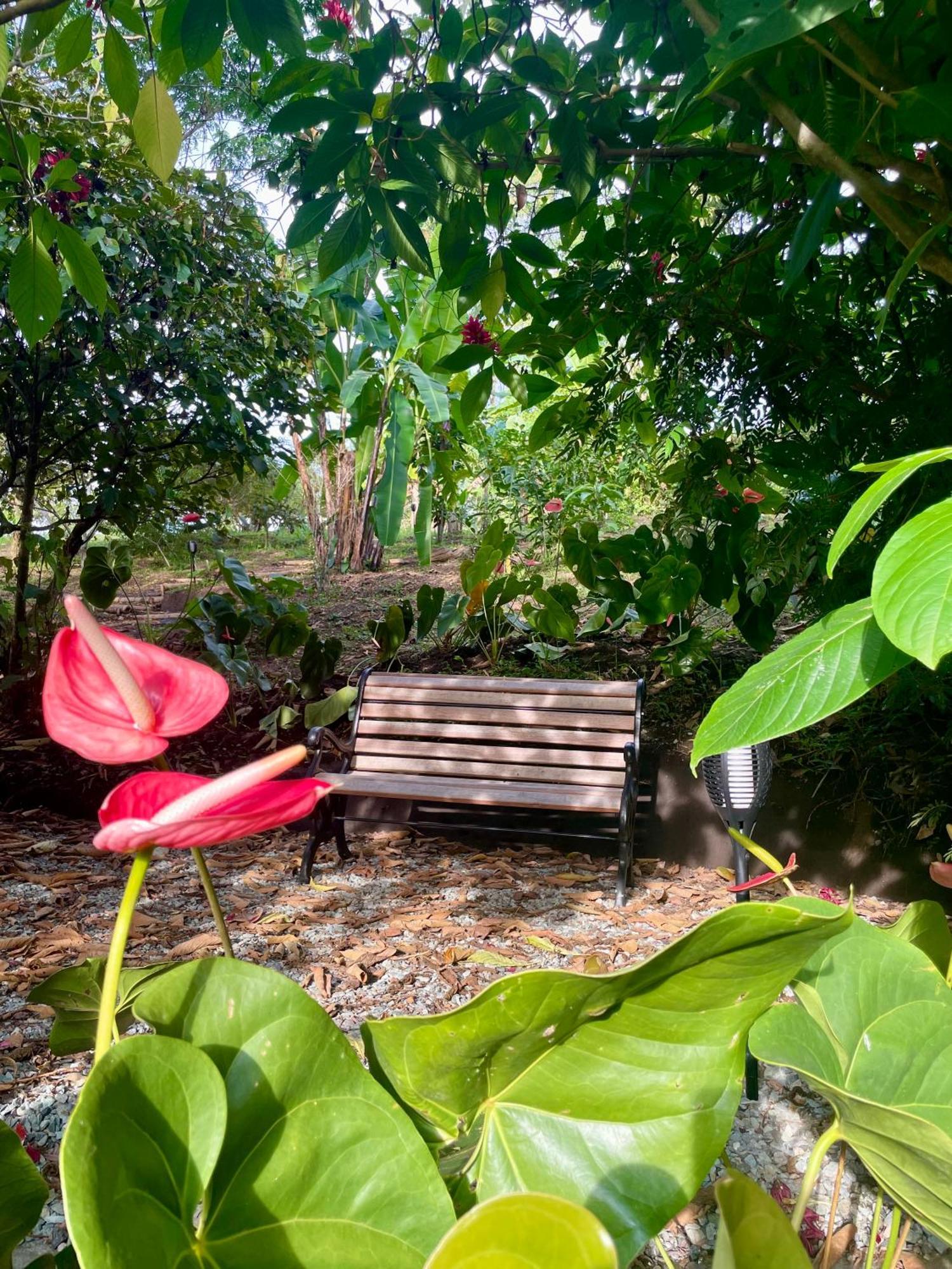 Ecohotel Alma Каларка Екстер'єр фото